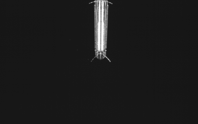 Biomass reflector deployment