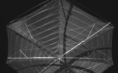 Biomass antenna fully deployed